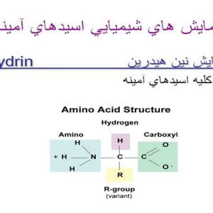 دانلود پاورپوینت با عنوان بررسی آزمايش هاي كيفي اسيدهاي آمينه و پروتئين ها در قالب ppt، قابل ویرایش و در حجم 22 اسلاید شامل تعریف اسيدهاي آمينه، طبقه بندي اسيدهاي آمينه، روش هاي تشخيص افتراقي اسيدهاي آمينه و پروتئين ها، آزمايش هاي شيميايي اسيدهاي آمينه، آزمايش نين هيدرين، آزمايش زانتو پروتئيك، آزمايش ميلون، آزمايش هاپكينزكول، آزمايش هاي پروتئين ها، آزمايش بيوره، آزمايش رسوبي پروتئين