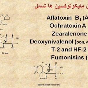 دانلود پاورپوینت با عنوان اهمیت و کاربرد مایکوتوکسین بایندر در صنعت دامپروری در قالب ppt، قابل ویرایش و در حجم 36 اسلاید شامل مایکوتوکسین ها چه هستند؟، معمولترین مایکوتوکسین ها، مایکوتوکسین های اساسی، مایکوتوکسین های کم اهمیت، روش های کشف مایکوتوکسین، کاهش آلودگی به مایکوتوکسین، ستراتژی کاهش مایکوتوکسین، مایکوتوکسین بایندرها، عوامل جذب کننده مایکوتوکسین، انواع الومینوسیلیکات، عوامل جذب کننده مایکوتوکسین(غیر ارگانیک)