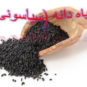 دانلود فایل پاورپوینت معرفی گیاه سیاه دانه (سیاسونی) ، در حجم 31 اسلاید قابل ویرایش.