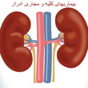 دانلود فایل پاورپوینت آشنایی با بیماریهای کلیه و مجاری ادرار ، در حجم 45 اسلاید قابل ویرایش.