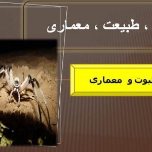 دانلود فایل پاورپوینت عنکبوت و معماری(انسان ، طبیعت ، معماری) ، در حجم 42 اسلاید قابل ویرایش ، همراه با یک هدیه ویژه.