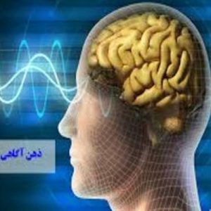 پاورپوینت ذهن آگاهی چیست شامل 22 اسلاید زیبا که با جدیدترین نسخه پاورپوینت طراحی شده و قابل ویرایش می باشد و برای دانشجویان روانشناسی کاربرد دارد .