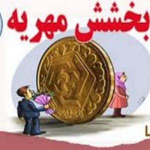 پاورپوینت بخشیدن مهریه به همسر شامل 27 اسلاید زیبا که با جدیدترین نسخه پاورپوینت طراحی شده و قابل ویرایش می باشد و برای دانشجویان حقوق کاربرد دارد .