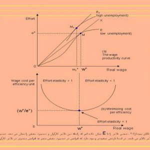 دانلود پاورپوینت با موضوع اقتصاد کینزی جدید، در قالب ppt و در 48 اسلاید، قابل ویرایش، شامل مقدمه، قضايا و ويژگي هاي اقتصاد كينزي جديد، چسبندگي هاي اسمي، چسبندگي دستمزد اسمي، چسبندگي قيمت اسمي، چسبندگي هاي حقيقي، منشاهاي ديگر چسبندگي قيمت حقيقي