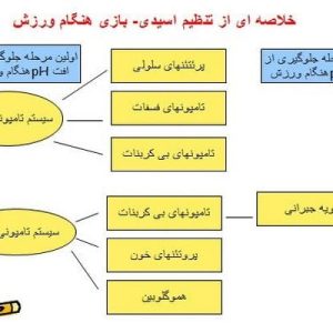 دانلود پاورپوینت با موضوع تعادل اسیدی- بازی هنگام ورزش، در قالب ppt و در 21 اسلاید، قابل ویرایش، شامل شرایطی که منجر به ایجاد حالت اسیدوز یا الکالوز می گردد، تقسیم بندی اسیدهای سوخت و سازی، اهمیت تنظیم اسیدی – بازی هنگام ورزش، دستگاههای تامپونی اسیدی – بازی، تامپونهای درون سلولی، اثر تنفس روی تعادل اسیدی – بازی، تنظیم تعادل اسیدی – بازی از طریق کلیه، نقش تامپونها در فعالیت ورزشی، خلاصه ای از تنظیم اسیدی- بازی هنگام ورزش