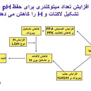 دانلود پاورپوینت با موضوع تمرین استقامتی: تاثیر آن بر اکسیژن مصرفی بیشینه، اجرا و هوموستاز، در قالب ppt و در 36 اسلاید، قابل ویرایش، شامل اصول تمرین، طرح برنامه تمرینی، تمرین استقامتی و اکسیژن مصرفی بیشینه، حداکثر اکسیژن مصرفی : برون ده قلبی عروقی و اختلاف اکسیژن خون سرخرگی – سیاهرگی