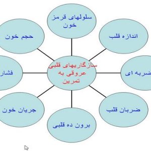 دانلود پاورپوینت با موضوع فیزیولوژی قلب و ریه در فعالیت ورزشی، در قالب ppt و در 34 اسلاید، قابل ویرایش، شامل آسم ناشی از ورزش، حبس نفس، پر تهویه ای  و حبس نفس ( در شنا)،  نفس دوم، تنفس، مراکز تنفسی و گردش خونی، سازگاریهای تنفسی به تمرین، قلب، Vo2max حداکثر میزان اکسیژن مصرفی، عوامل موثر بر Vo2max ، ارزیابی عملکرد استقامتی ( LT یا Vo2max ) ، سازگاریهای قلبی عروقی به تمرین، اندازه قلب