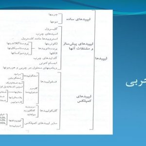 دانلود پاورپوینت با موضوع ب ساختار و متابولیسم چربی در فعالیت های ورزشی ( ویژه ارائه کلاسی درس فیزیولوژی ورزشی)، در قالب ppt و در 117 اسلاید، قابل ویرایش، شامل چربی (لیپید)،  نقش چربی در بدن، منشاء چربی ها، انواع چربی، اسید های چرب، چربی های ساده(خنثی)،